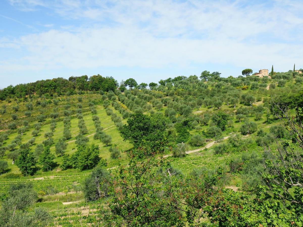 Holiday Home Poggio Velluto By Interhome Seggiano Екстер'єр фото